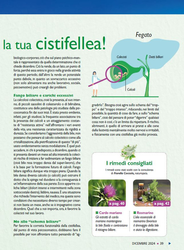 Sal Nat Dic 2024 (6)
