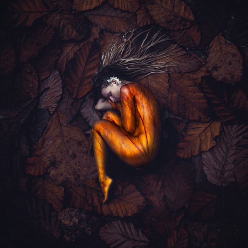 B407DBC2-6133-483C-8A99-0CFB9FC29DC4