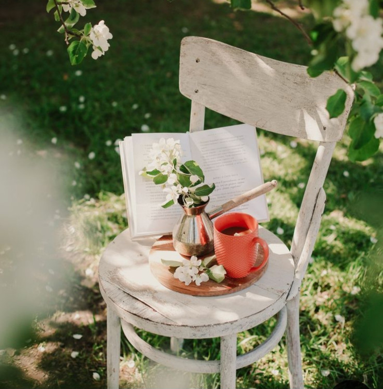 Screenshot_20240604_161215_Pinterest