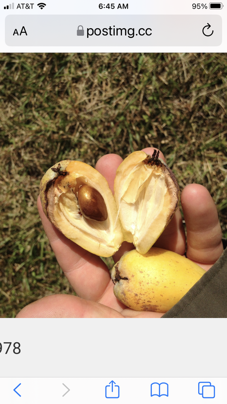 87DB2F38-A12D-40BF-ADF6-54BC75FA3162