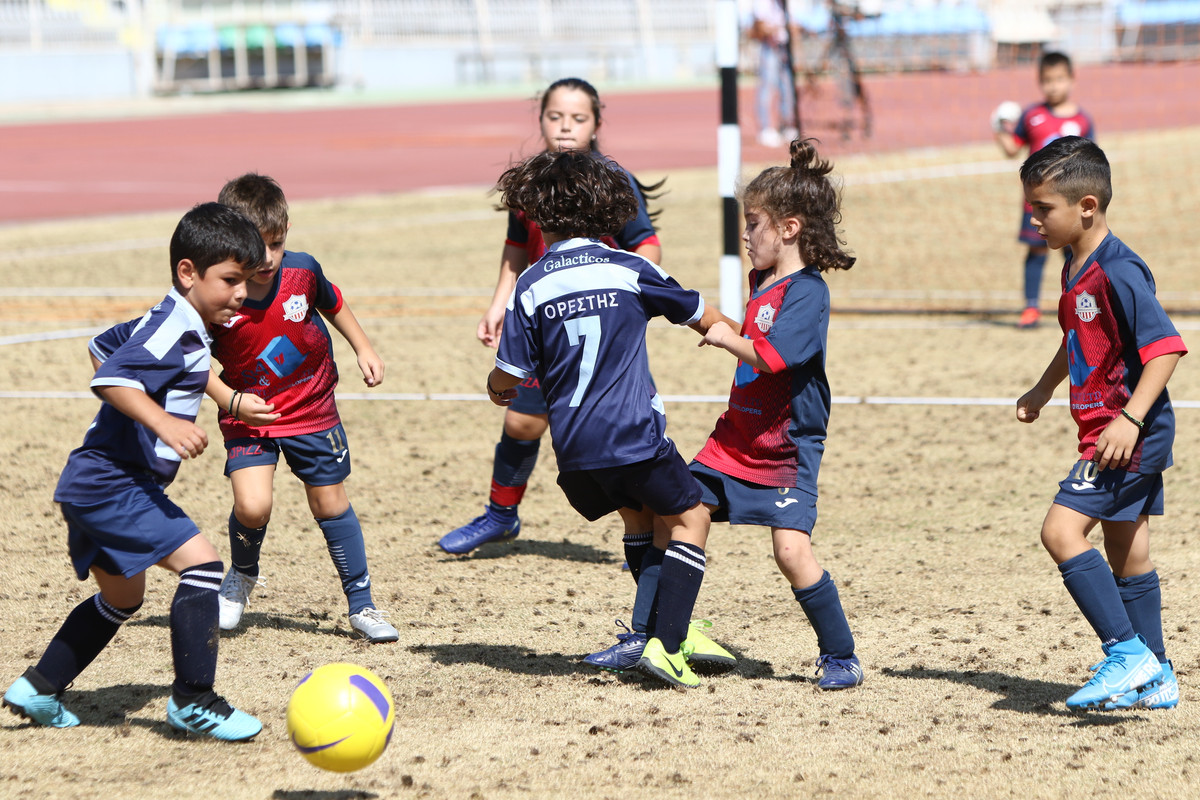VIK_2052