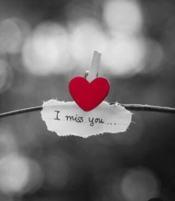 Screenshot_20240214_154849_Pinterest