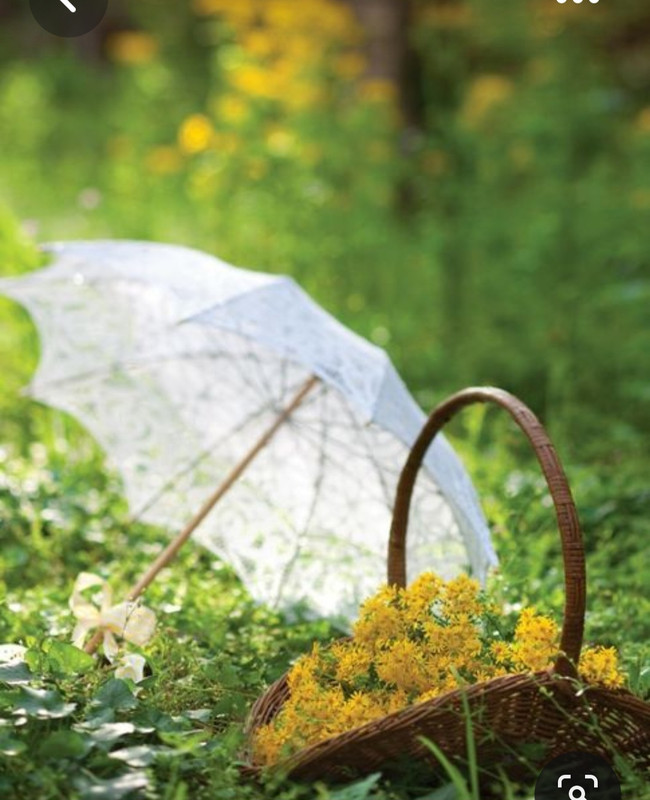 Screenshot_20230622_003403_Pinterest