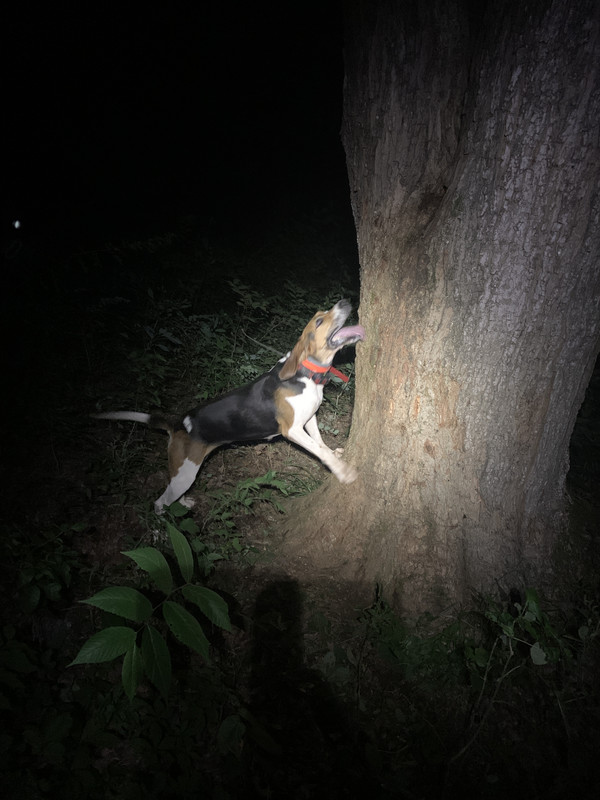 DC0C2CAE-5FD3-4723-9C56-1CCEBAF9DFDE