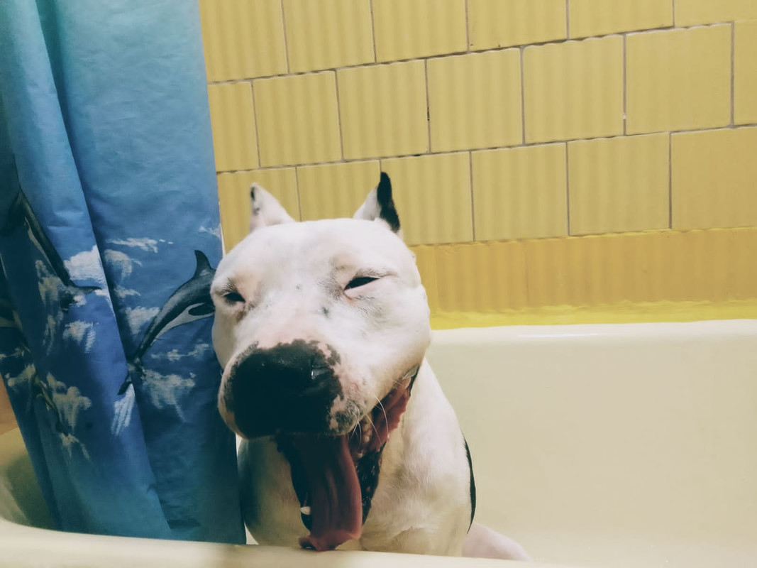 76A13E92-CDD4-4EF0-8BFE-D3C0A7A96383