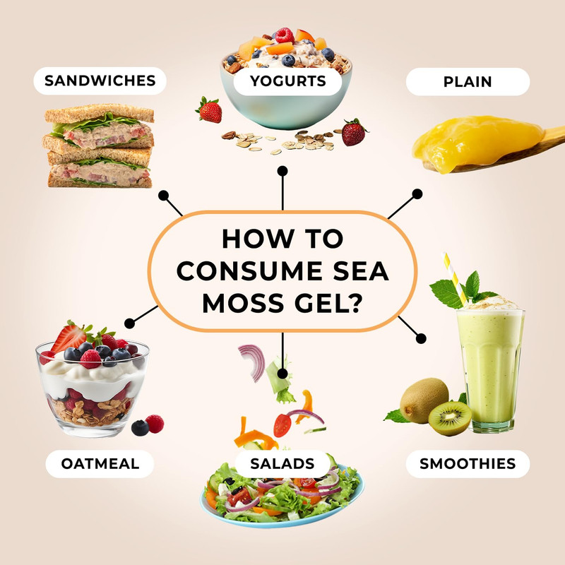 Sea Moss Gel Unflavored ORIGINAL How to consume sea moss gel
