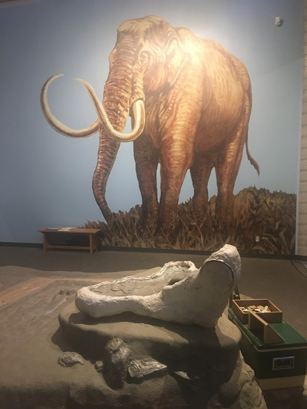 4FFF3DDA-9A34-4EBA-BFB8-627724F505C3