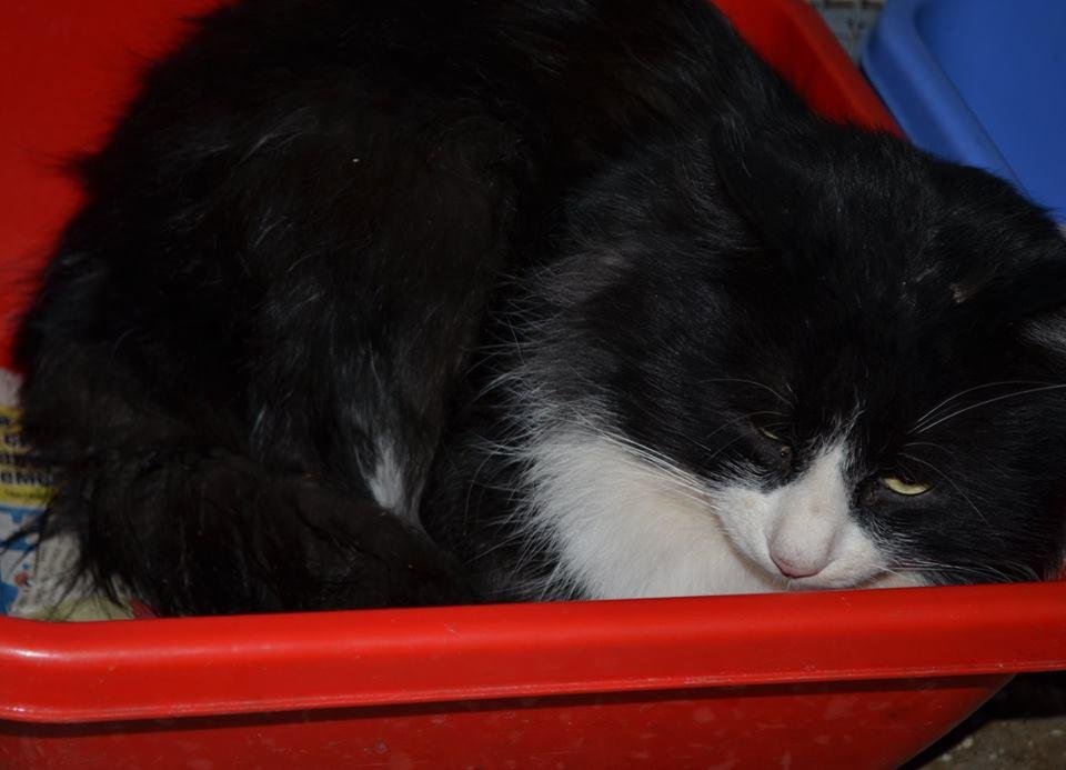 watermarked - эээ э.1 эээээээ