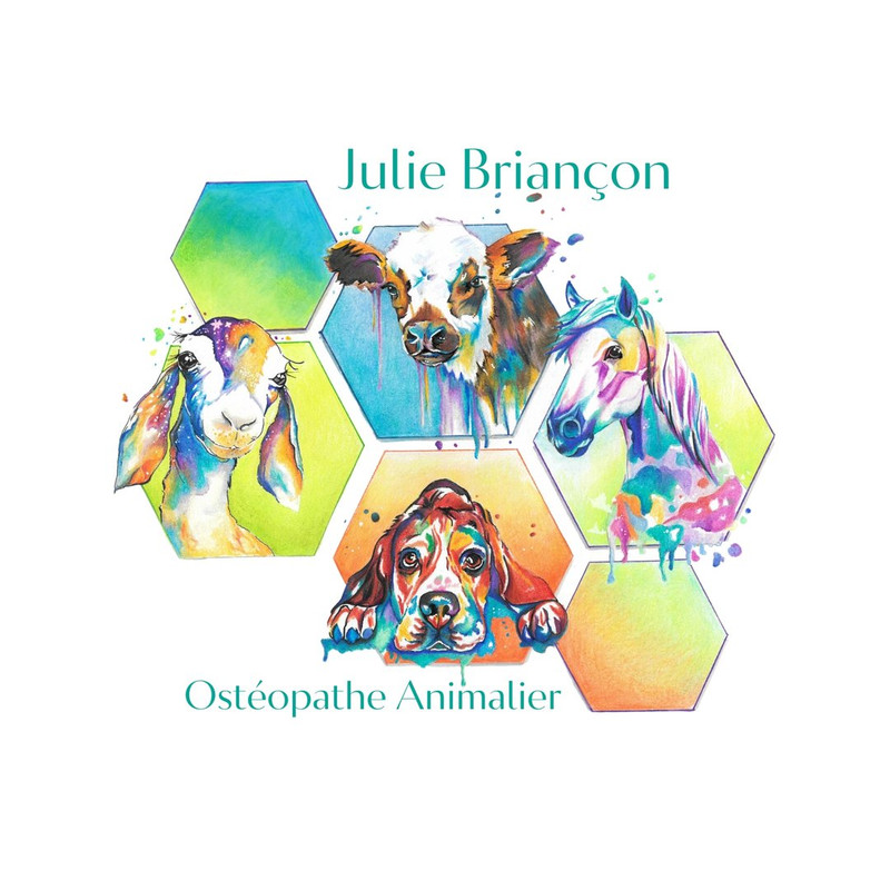 Julie Briançon 