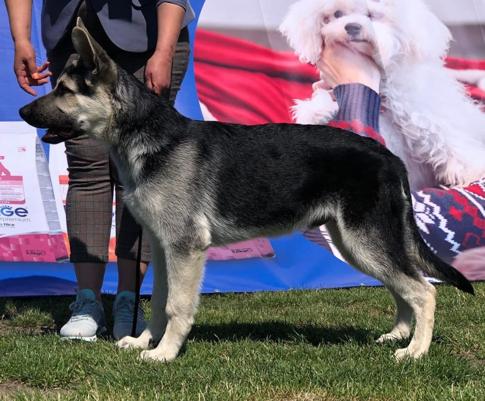 281473848_7532582513479716_7034948956837073724_n (1)