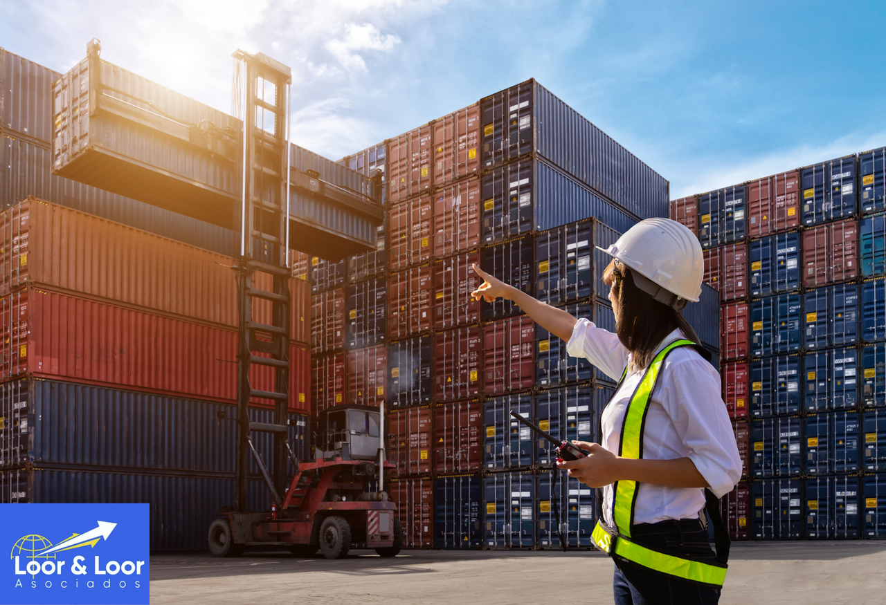 Despacho-y-Agenciamiento-Aduanero-en-Importaciones-y-Exportaciones-(2)