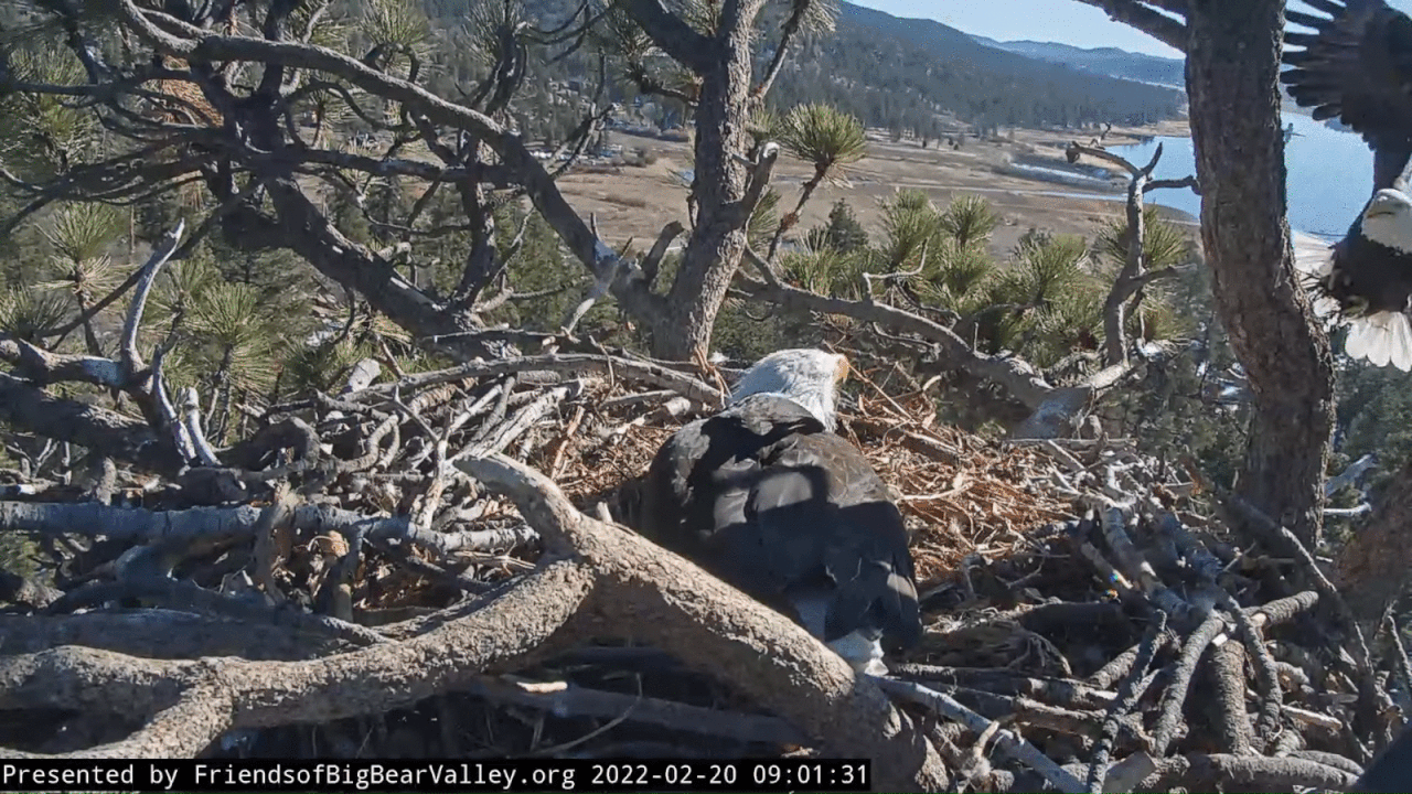 Webp.net-gifmaker (11)