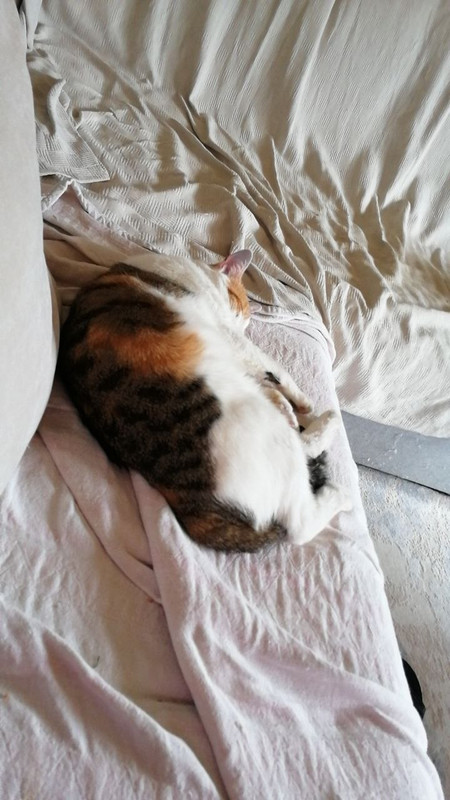 photo 2026 04 12 19 45 45