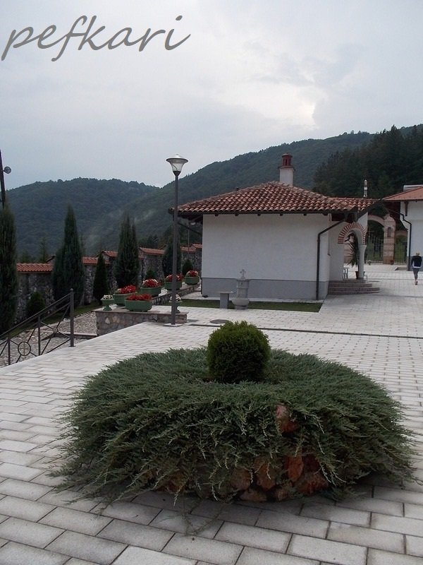 Slika