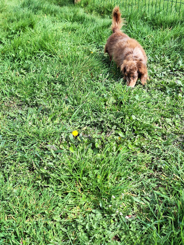 [Image: 20240316-115703.jpg]