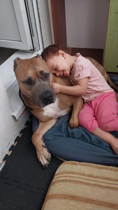 7522AC96-278B-4A42-8077-8ADB796CC331