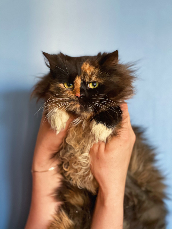 E681438D-6ACA-4C9C-AE28-7492B4590566