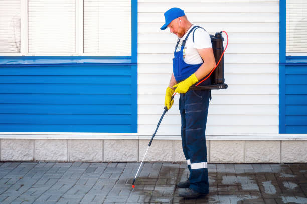Kissimmee Termite Treatment