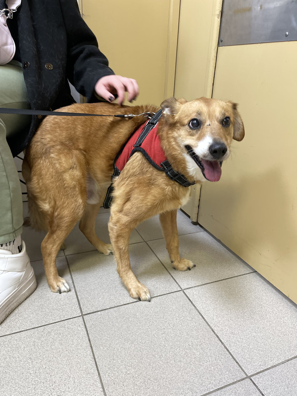 592156C4-BECA-4E27-A6EC-C8FF24BC6C54