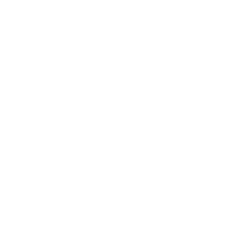 Dashflix Logo
