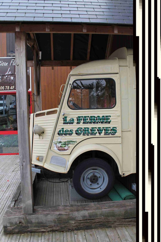 type H Fifi - Copie (3)