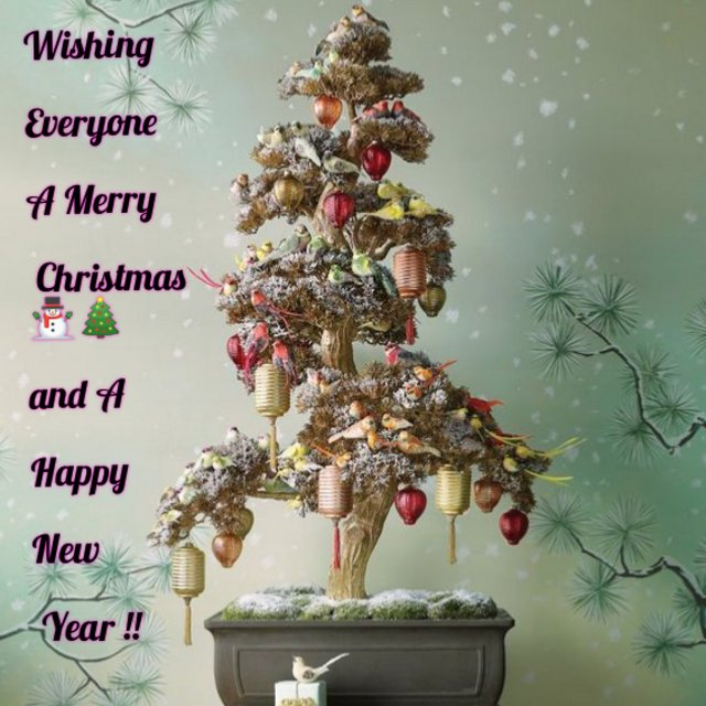 [Image: in-Collage-20201224-202203075.jpg]