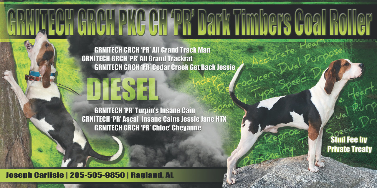 Insane cain coonhound 2025