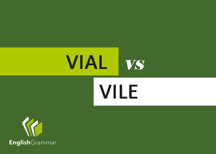 u-https-www-englishgrammar-org-wp-content-uploads-2017-11-Vialvs-Vile.jpg