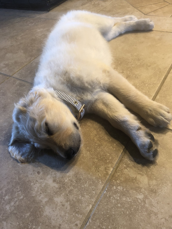 DF126D99-25E6-4320-A95A-CA38BB0630C1