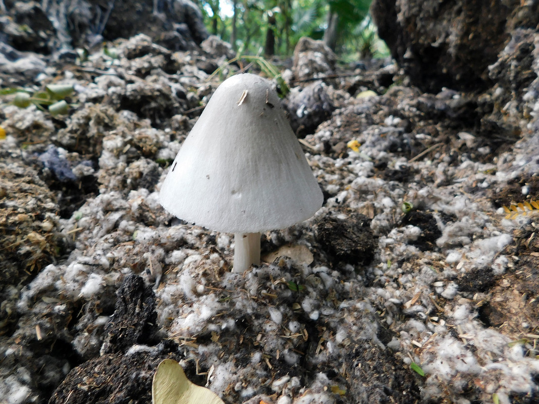 DSCN0449.jpg