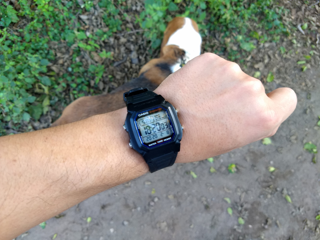 IMG_20200208_182002225