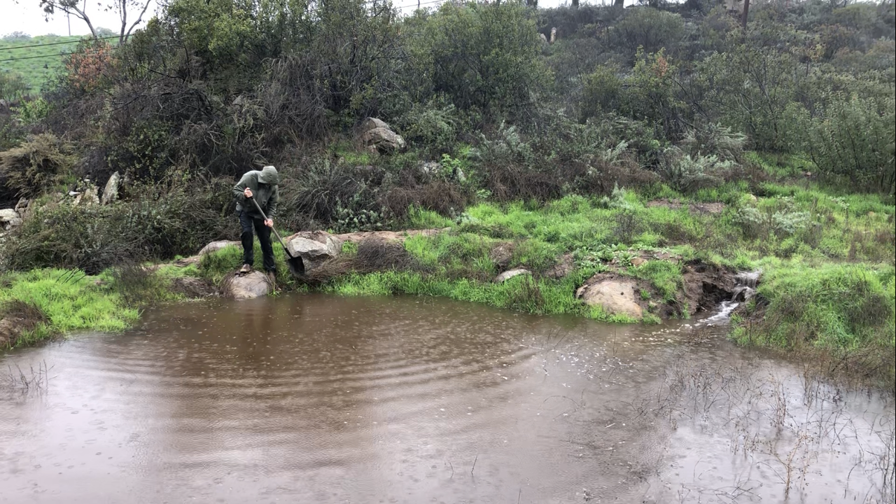 F2194DB5-4895-4AB0-ACA8-E52F79F06355