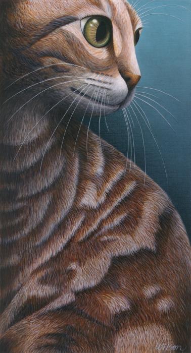 32-cropped-cat-3-carol-wilson-003
