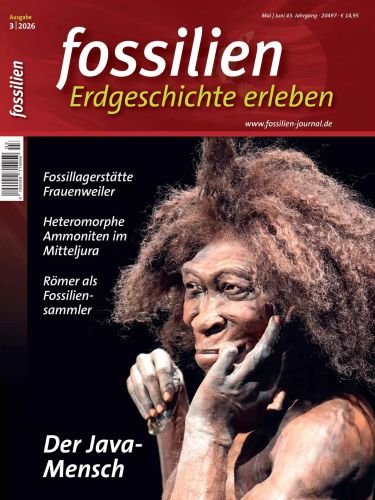 Fossilien-Erdgeschichte-Erleben-Nr-03-2026.jpg