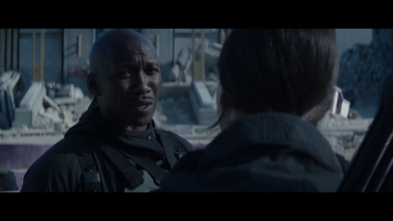 vlcsnap-2024-04-01-16h43m59s004