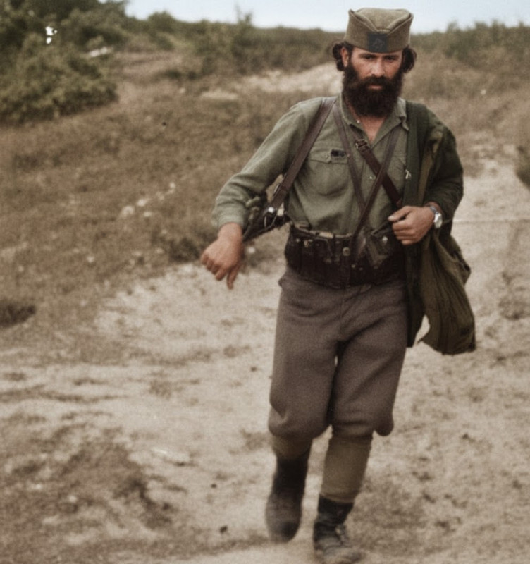 [Слика: nano-banana-edit-1763974318145-EDIT-(1).jpg]