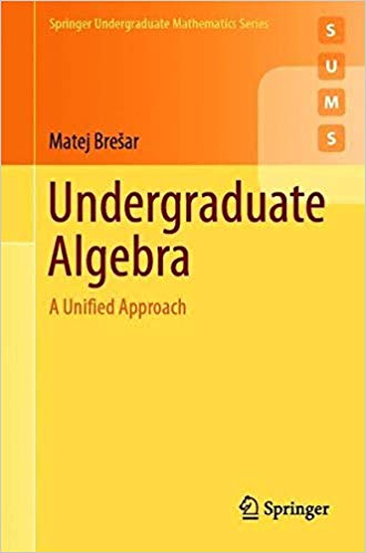 Undergraduate Algebra: A Unified Approach