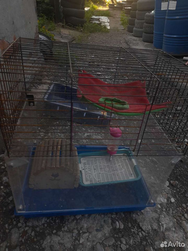 1.SUKId7a45au-wGemlmpkPK3V56021me9vtvnqTje7aE-