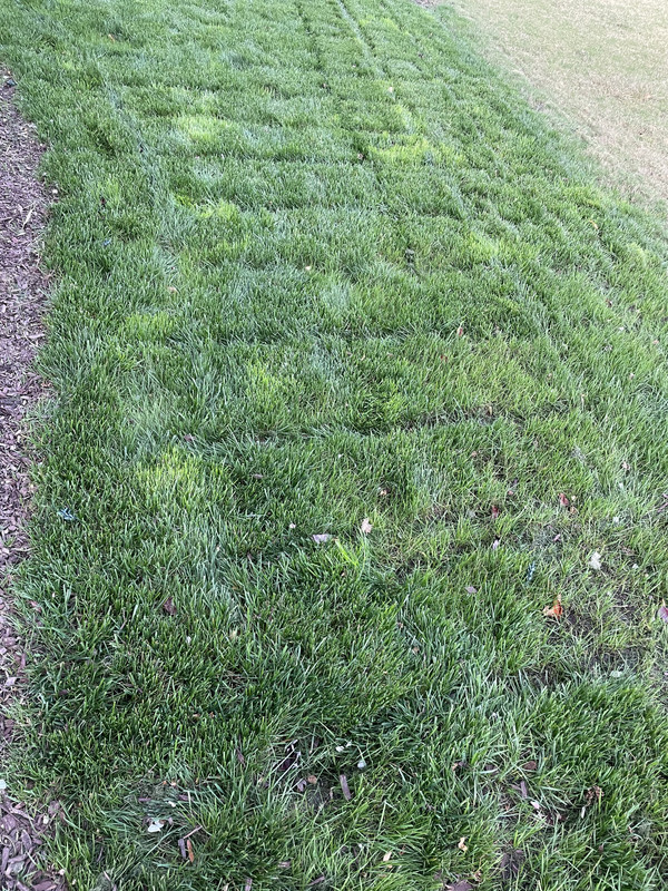 3D1D5700-B445-494C-943D-00B5791D1E5F