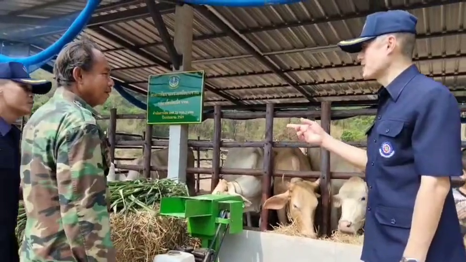 vlcsnap-2026-04-29-18h07m52s939