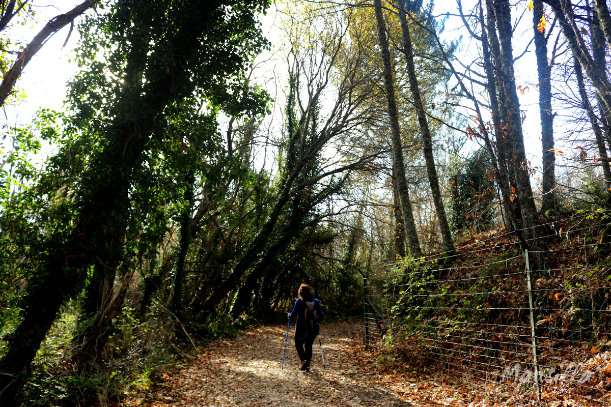 Castañar_RDPR_0268_03