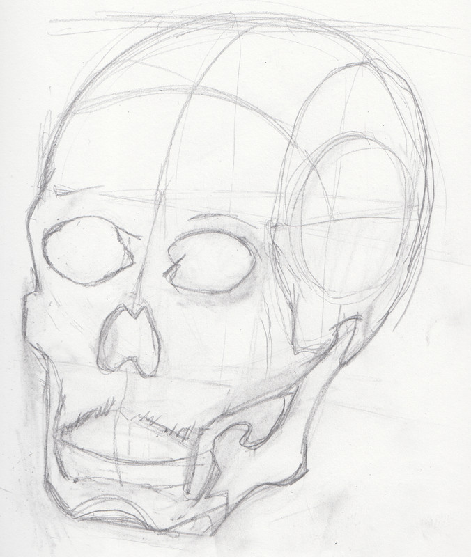 [Image: Skull-3-Quarters-2.jpg]