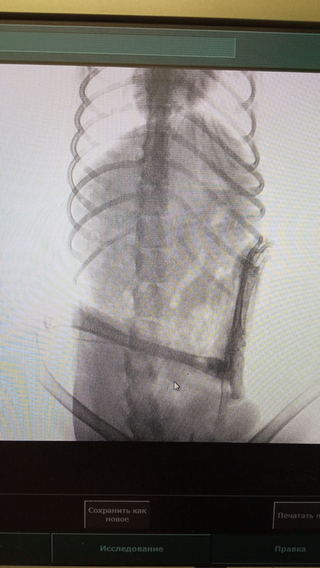 B2A9C2BF-C100-40E5-8380-5B14E62AA39D