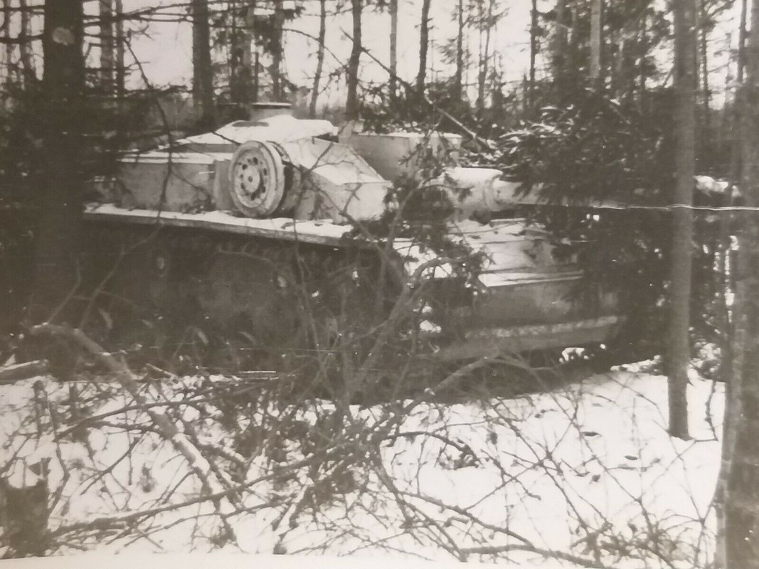 Foto Nordfront Sturmgeschütz in Lauerstellung Feb 1943 super Tar