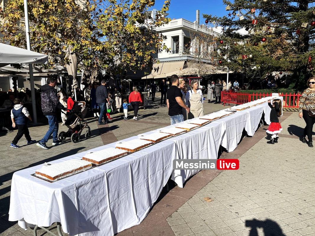 ΣΕΜ ΒΑΣΙΛΟΠΙΤΑimage00040