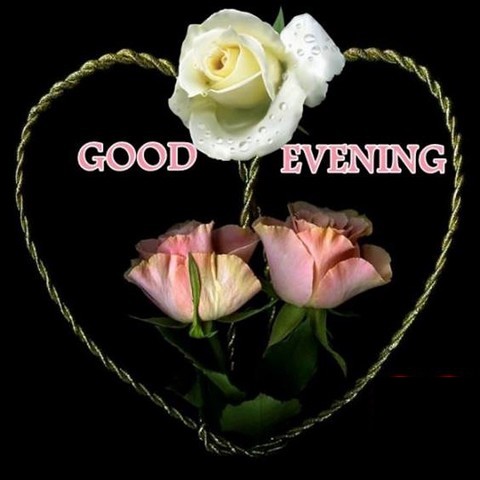 86-good-evening
