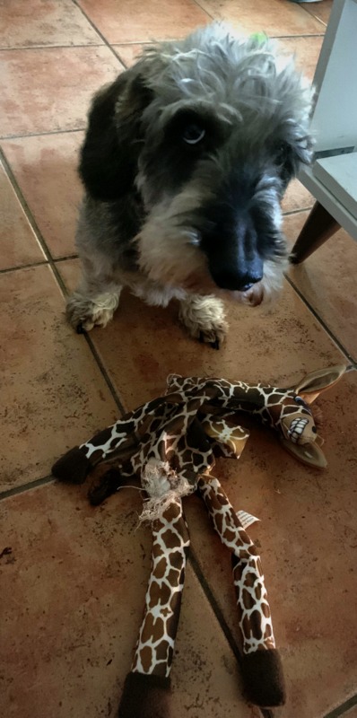 [Image: IMG-0979.jpg]