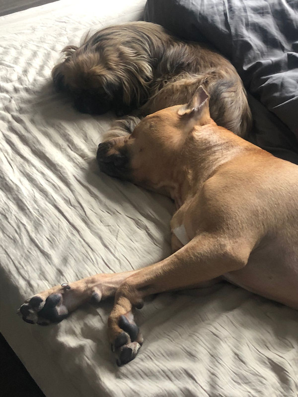 264C8D69-3816-4E6E-B271-58BB46FC2FD3