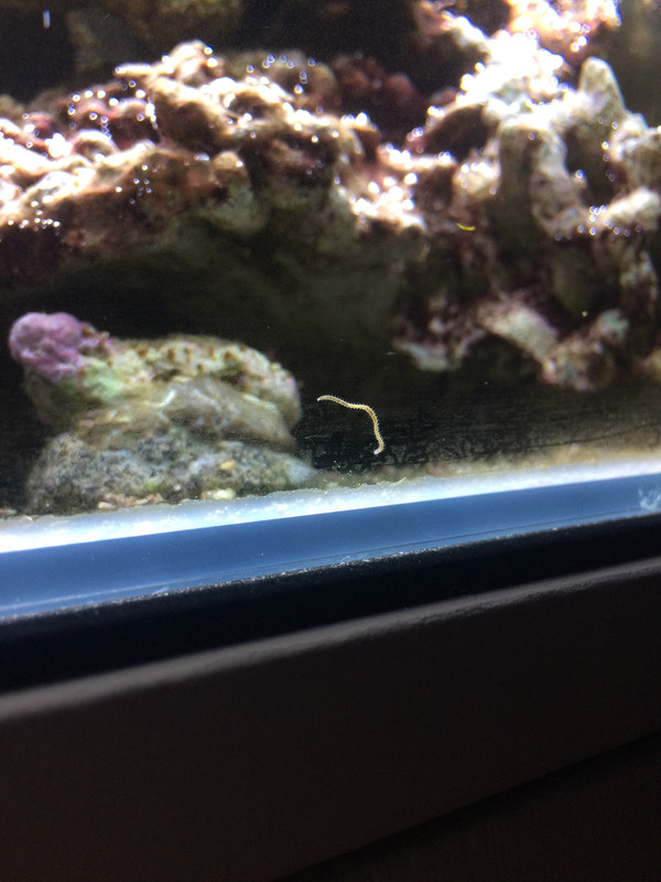 CBE10E44-D00A-46DB-92AD-14E7C5E3D64F