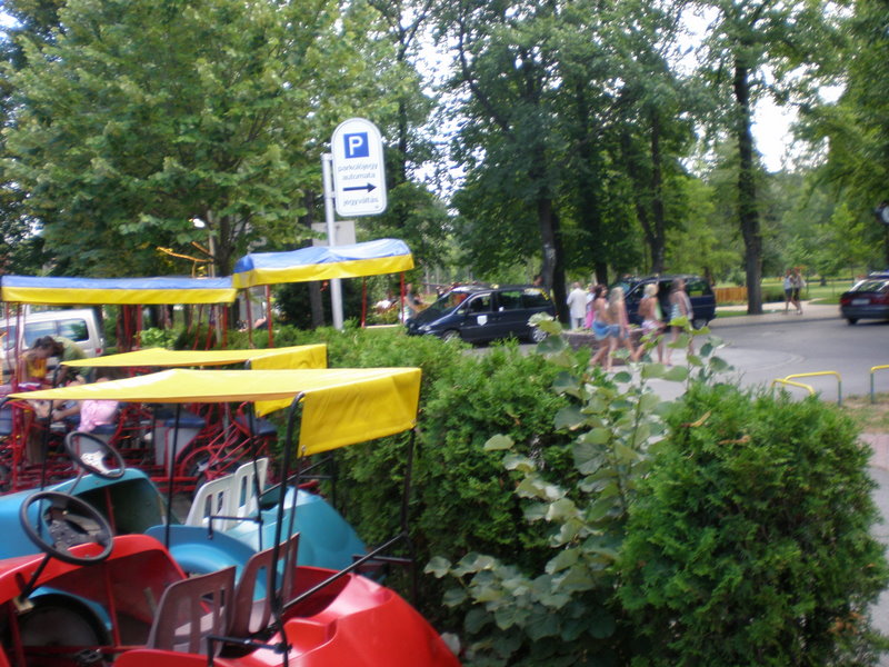 Slika